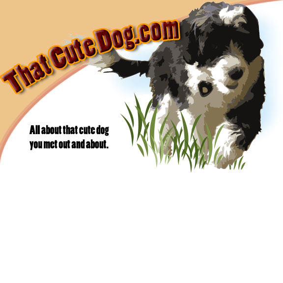 That Cute Dog.com - All about that cute dog you met out and about